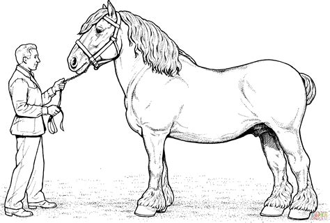 Children are naturally attached to animals; Clydesdale Horse Coloring page | Free Printable Coloring Pages | Horse coloring pages, Animal ...