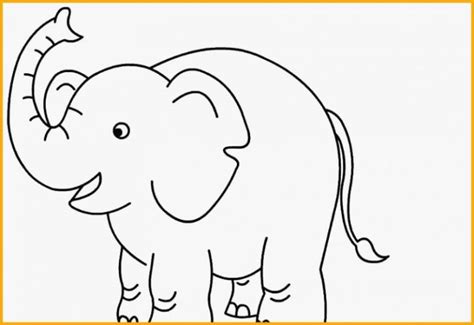 10 gambar sketsa gajah paling mudah bagus clipart portal. √6969 Sketsa Gambar Hewan: Terbaik, Paling Unik & Menarik ...