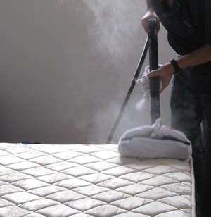 Want to know how to start a successful yoni steam business and stay booked with clients? Start Your Own Cleaning Business