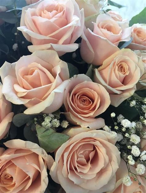 Book with ease today and save up to 40% off self catering accommodation in castle bromwich. Gorgeous Pink Roses. Flowers and Home, 264a Chester Road ...