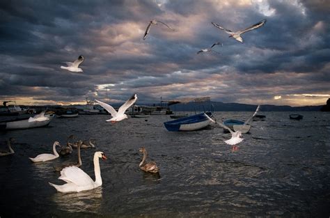 عامر الخوذيريbein sports hd 1 maxكأس الأمم الأوروبية. اماكن سياحة عالمية : مقدونيا مملكة الضوء والماء