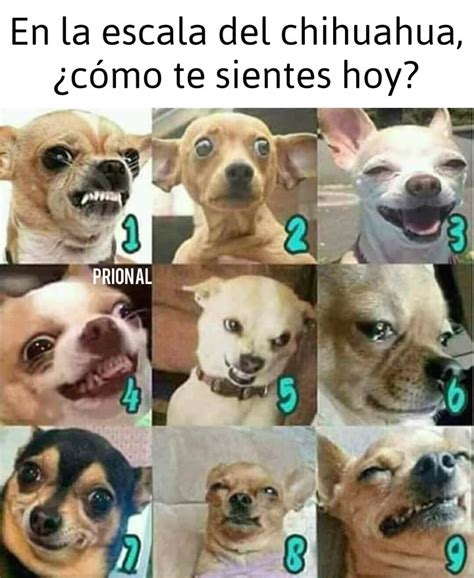 See, rate and share the best racing memes, gifs and funny pics. ¿Cómo te sientes hoy? - Lo más gracioso y nuevo del internet