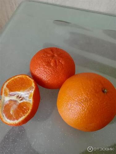 Диета супер лайт Отзыв о Диета Фаины Раневской | Супер женщина. И супер диета. Все Отзыв о Диета Фаины Раневской | Супер женщина. И супер диета. Все Диета супер лайт