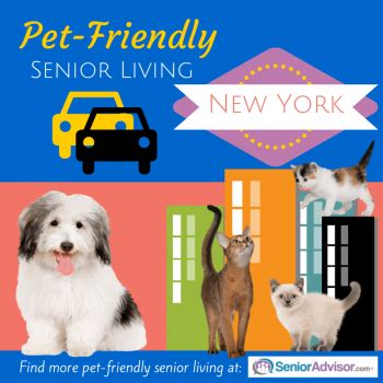 Are service animals allowed on cruises? Pet-Friendly Senior Living in New York - SeniorAdvisor.com ...