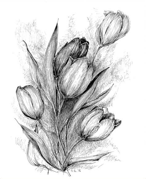 Pencils | pencil drawings of flowers, pencil drawings. FREE 38+ Pencil Drawings in PSD | AI
