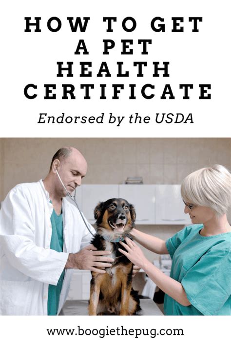 New rules for pet travel to the eu have now been imposed and instead of obtaining a pet passport, you will need to get an animal health certificate (ahc). How to Get a Pet Health Certificate Endorsed by the USDA ...