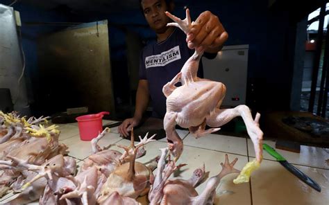 Telur ayam kampung (kg/21 butir). Kebutuhan Daging dan Telur Ayam Hingga Lebaran Diprediksi ...