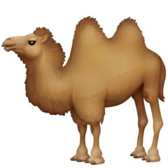 A camel with two humps from central asia. Two-Hump Camel Emoji — Meaning, Copy & Paste