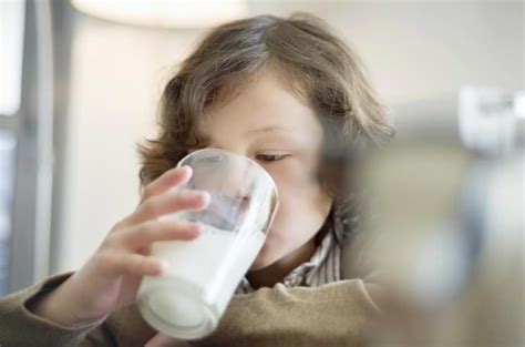 You may have been listening since childhood as to how beneficial autism is a nervous and developmental disorder that impedes the ability to communicate and interact. 5 Unbelievable Yet Proven Benefits of Camel Milk ...