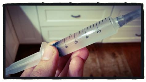 How to grow mushrooms, how to take prints and everything in between. Making Spore Syringes || Propagating Oyster Mushrooms PART ...