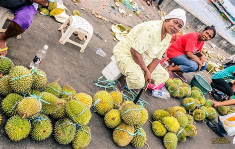 sementara itu durian malaysia dan thailand lebih artifisial, tidak alami dan kurang keanekaragaman, tambahnya. 5 Lokasi Makan Durian Terbaik di Indonesia | Good News ...