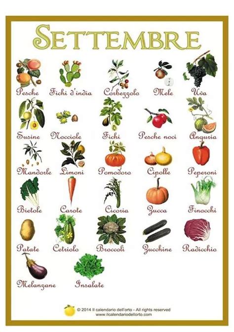 frutta e verdura di stagione: il calendario di settembre | Dott Sabino ...