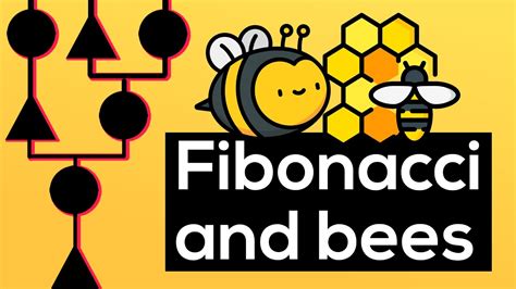 Learn what a fibonacci sequence is and how to print one in various languages. Relationship Between Bee Populations and the Fibonacci ...