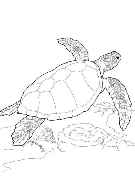 This makes the design suitable for many types of projects. Leatherback Sea Turtle Coloring Page at GetColorings.com ...