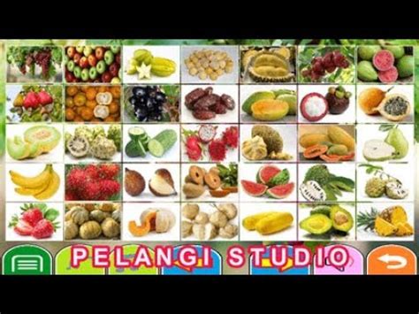 Walaupun sketsanya tidak diberi warna tetapi kamu tetap bisa. Belajar Nama Buah - Buahan (mudah dan cepat bisa) - YouTube