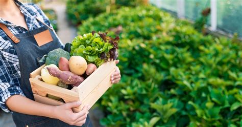 Why Is Locally Grown Food Better for the Environment?