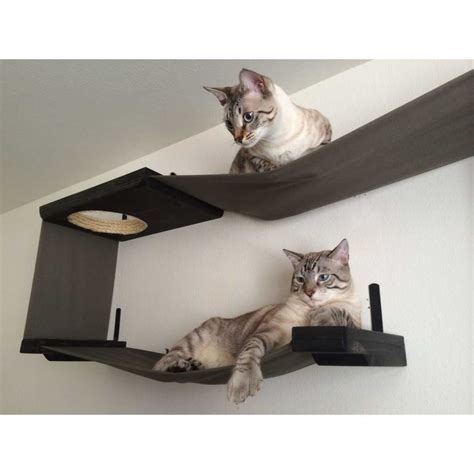 Cat platform bed cat wall cat tree wooden cat furnitur cat hammock wall cat scratcher bridge for cat shelf window. CatastrophiCreations Fabric Cat Wall Maze - CatsPlay ...