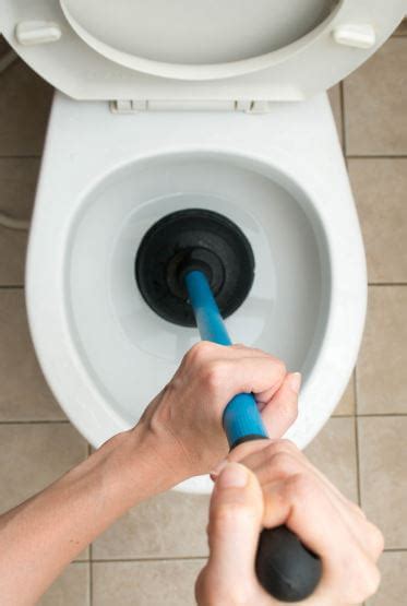 We did not find results for: 3 Common Holiday Plumbing Problems (And How To Avoid Them ...