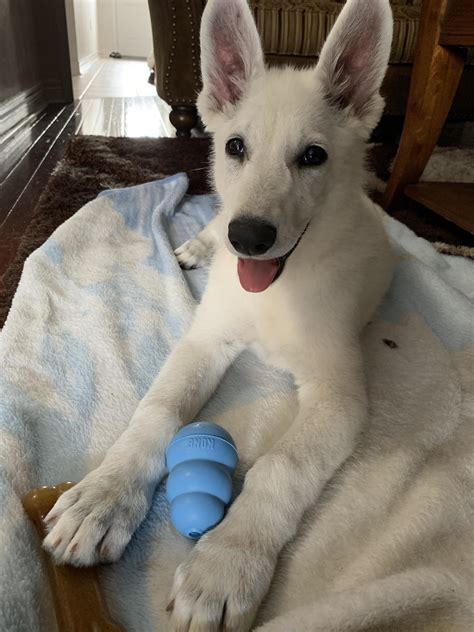 I adore and cherish you so much. Love her smile! : PuppySmiles