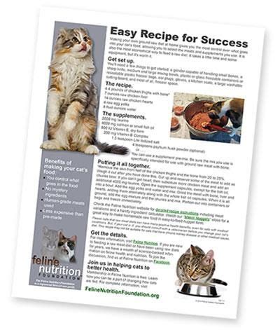 Mix without bone for 13 days. One Page Guide: Easy Recipe for Success (With images ...