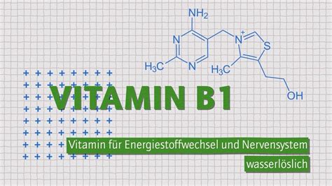 Need for thiamin increased when carbohydrate content of diet is high. Vitamin B1 - Alles zu Thiamin | Wofür, wieviel und woher ...