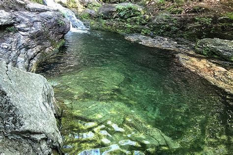 The emerald green feeds products are grown on family run farm, a poucher & sons in rural lincolnshire. This Easy Maine Hike Features An Emerald Green Swimming ...