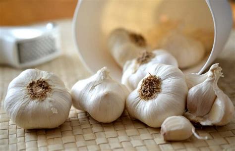 Mengubati/mengurangkan sakit gigikehadiran allicin dalam bawang putih bertindak sebagai penyembuh dan penahan sakit semula jadi. 10 Manfaat Makan Bawang Putih Mentah Untuk Kesehatan