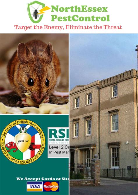 A+ pest control is proud to offer our award winning pest control services to northern alabama. Rats | Pest Control Service in North Essex ...