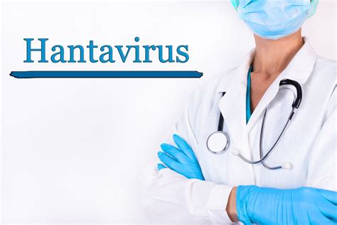 Centers for disease control and prevention (cdc). Хантавирус из Китая: надо ли бояться новой пандемии?