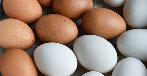 A chicken and egg situation usage trend in literature. Duck Eggs vs. Chicken Eggs: Nutrition, Benefits, and More