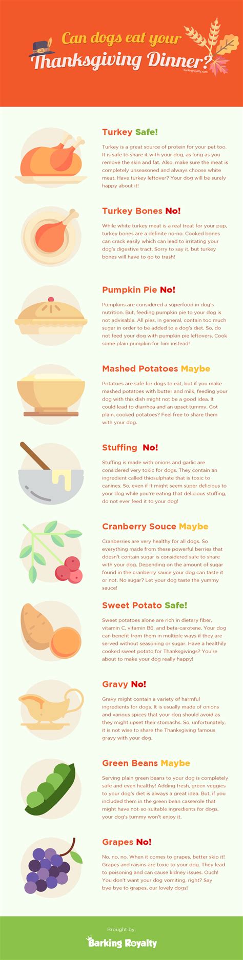 Thanksgiving is at time for family, football and, of course, food. Can Dogs Eat Turkey? - Barking Royalty | Can dogs eat, Dog ...