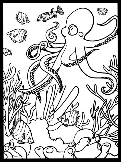 Coral reefs develop in warm and shallow water near the land. Welcome to Dover Publications - Coral Reef SG | Kleurplaten