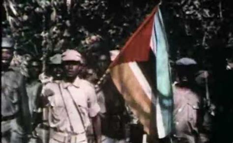 See related links to what you are looking for. Pan-African Liberation - WGBH Openvault