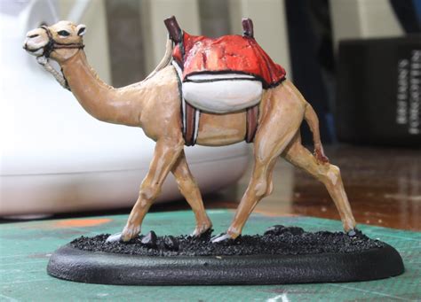 The hump stores up to 80 pounds of fat, which a camel can break down into water and energy when sustenance is not available. 28mm Victorian Warfare: So what do you know about camels?