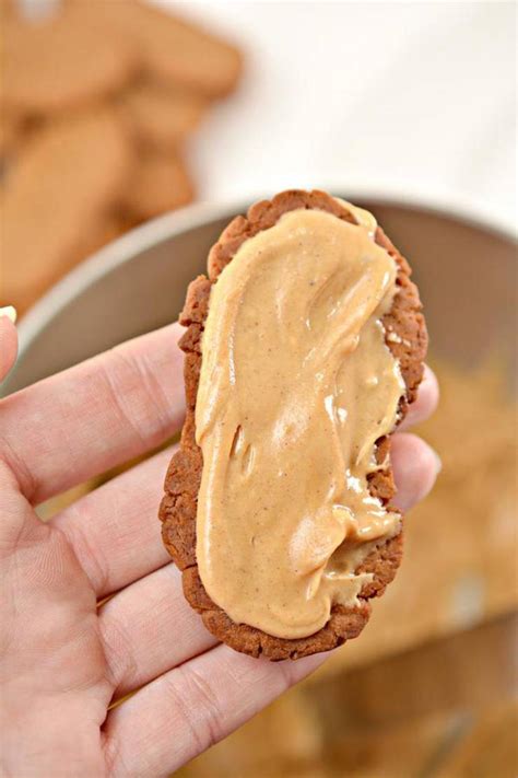 We're making homemade nutter butters…sure you can pick up a package of these favorite peanut butter cookies at the store, but are they soft and warm from your oven? Keto Cookies - Super Yummy Low Carb Copycat Nutter Butter ...