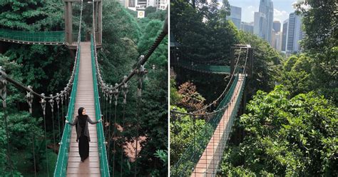 Here you will board a longboat for taman taman negara national park canopy walk operational hours : Taman-Eko-Rimba-Kuala-Lumpur - KL Foodie