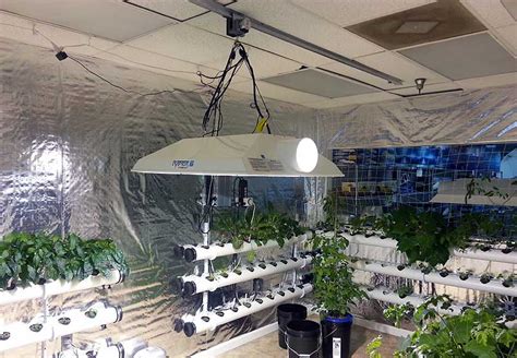 The best way to do that is to eliminate all the things that might. Sunset Hydro Gardens with LightRail in action - LightRail ...