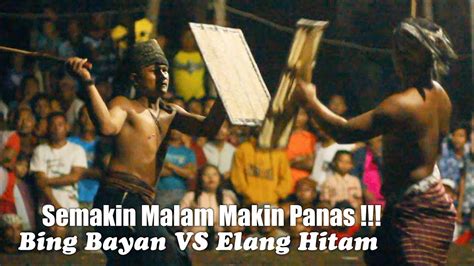 Burung elang vs macan tutul lihat juga video kami yang lain. PERESEAN LOMBOK 2020 BING BAYAN VS ELANG HITAM - YouTube