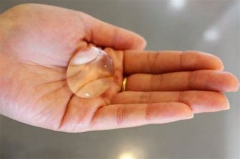 Kid science kitchen science 4th grade science science classroom science fair science lessons teaching science science projects science experiments. 19 Kitchen Science Experiments You Can Eat