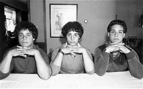 Bizarre story of triplets separated at birth for a scientific experiment. The True Story Of Triplets Separated At Birth For A ...