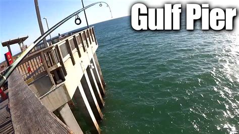 Gulf state park pier is best known for its wonderful fishing opportunities. Pier Fishing for Beginners - Easy Fishing at the Gulf ...