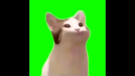 Video of a cat making popsupport my channel: Cat Mouth Popping Noise Meme | Green Screen - YouTube