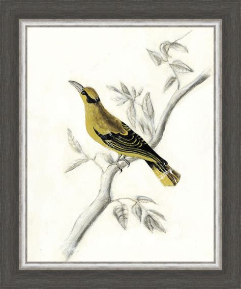 The photograph may be purchased as wall art, home decor, apparel, phone cases, greeting cards, and more. Birds 'Rustic Aviary II' Framed Painting Print | Painting ...