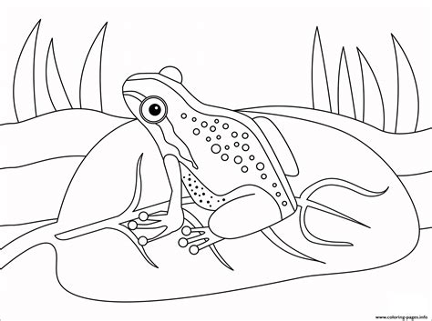 March 14, 2021october 11, 2020 by coloring. Frog Animal Simple Coloring Pages Printable