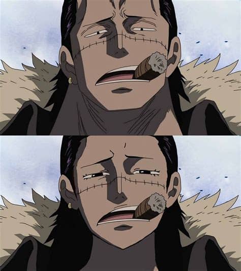 Search, discover and share your favorite crocodile one piece gifs. Crocodile | One piece comic, One piece series, One piece ...