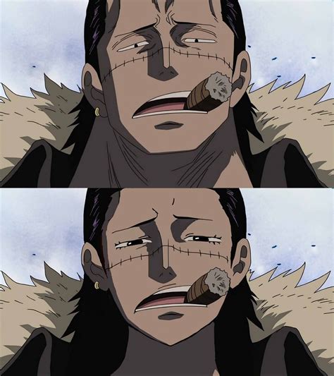 Please understand that for me if i can't. Crocodile | One piece comic, One piece series, One piece anime