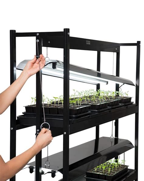 Gardening under grow lights | gardener's supply. Sunlite Compact 3-Tier LED Grow Light | Gardener's Supply ...