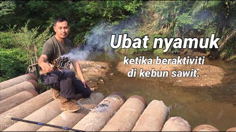 Compound of obat (drug, medicine) +‎ nyamuk (mosquito). Ubat nyamuk survival. - YouTube