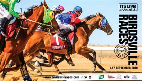 We did not find results for: Birdsville Races 2020