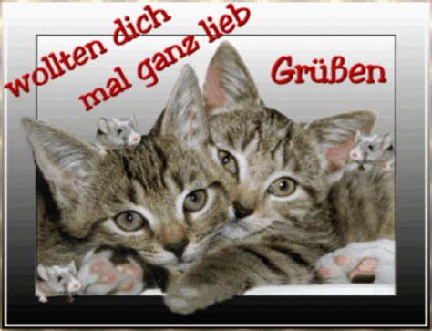 Für die besondere frau auf der erde mutter, satisfied birthday gifs schwester, geburtstagswuensche. katzen grüße - Kostenlose Gästebuchbilder